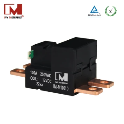 100A Magnet Immunity 500mt Miniature 2 Pole High Power Latching Motor Relay for Smart Meter