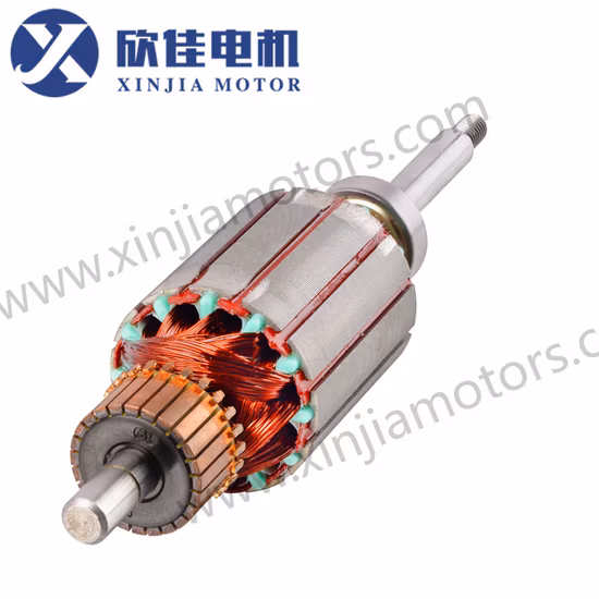 81 Series Juicer Motor with AC 220V/100V