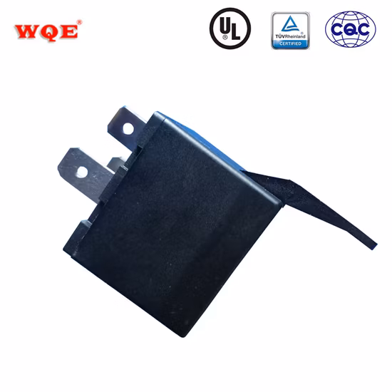 UL/CE/TUV 30A 40A 12V Coil 2 Pole Contact Dpst No PCB Power Relay for EV Charger